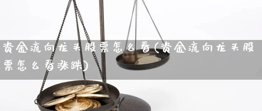 资金流向龙头股票怎么看(资金流向龙头股票怎么看涨跌)_https://www.ercigouzaozhubeng.com_理财技巧_第1张