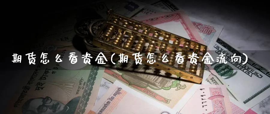 期货怎么看资金(期货怎么看资金流向)_https://www.ercigouzaozhubeng.com_理财技巧_第1张