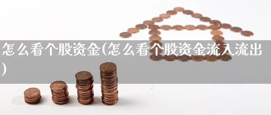 怎么看个股资金(怎么看个股资金流入流出)_https://www.ercigouzaozhubeng.com_理财技巧_第1张