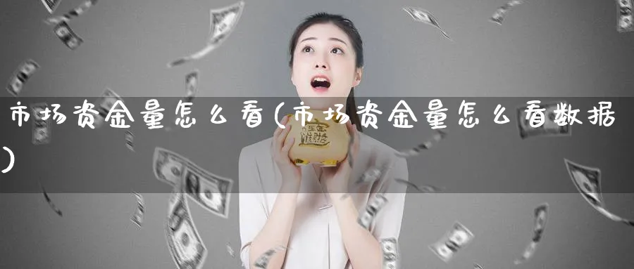 市场资金量怎么看(市场资金量怎么看数据)_https://www.ercigouzaozhubeng.com_理财技巧_第1张