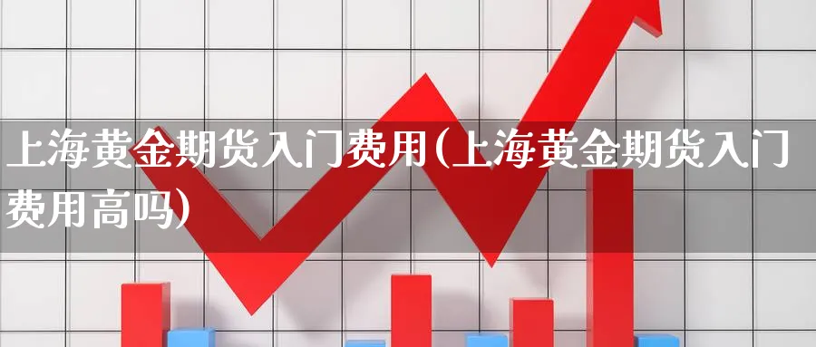 上海黄金期货入门费用(上海黄金期货入门费用高吗)_https://www.ercigouzaozhubeng.com_期货_第1张