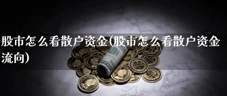 股市怎么看散户资金(股市怎么看散户资金流向)_https://www.ercigouzaozhubeng.com_股市要闻_第1张