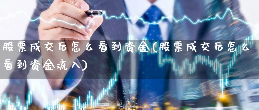 股票成交后怎么看到资金(股票成交后怎么看到资金流入)_https://www.ercigouzaozhubeng.com_理财技巧_第1张