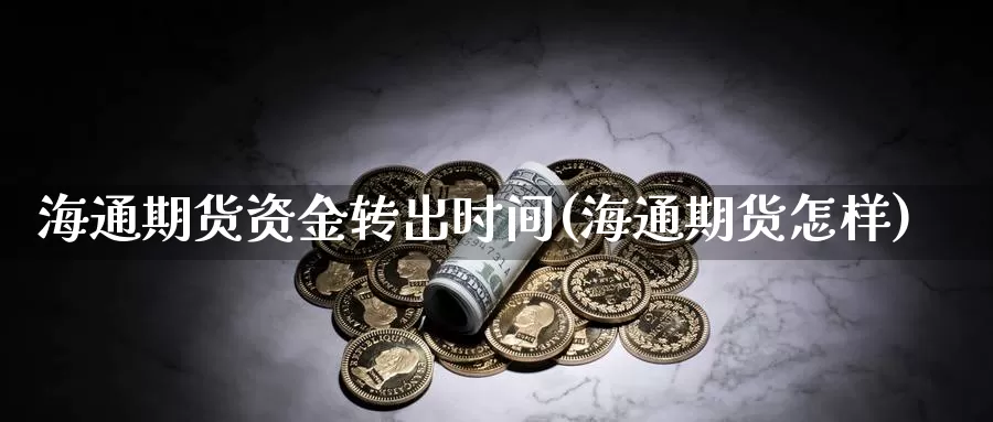 海通期货资金转出时间(海通期货怎样)_https://www.ercigouzaozhubeng.com_期货技术_第1张