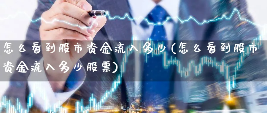 怎么看到股市资金流入多少(怎么看到股市资金流入多少股票)_https://www.ercigouzaozhubeng.com_理财技巧_第1张