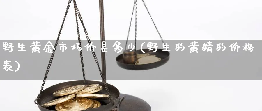 野生黄金市场价是多少(野生的黄精的价格表)_https://www.ercigouzaozhubeng.com_黄金_第1张