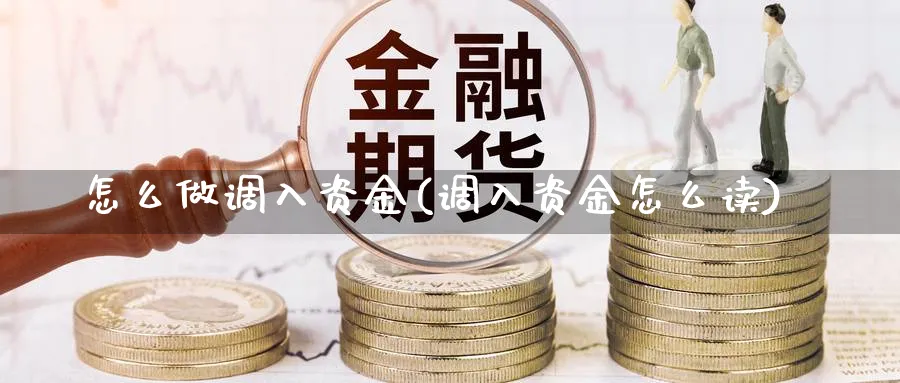 怎么做调入资金(调入资金怎么读)_https://www.ercigouzaozhubeng.com_理财技巧_第1张