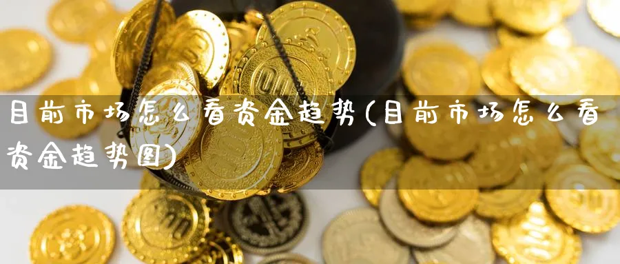 目前市场怎么看资金趋势(目前市场怎么看资金趋势图)_https://www.ercigouzaozhubeng.com_理财技巧_第1张