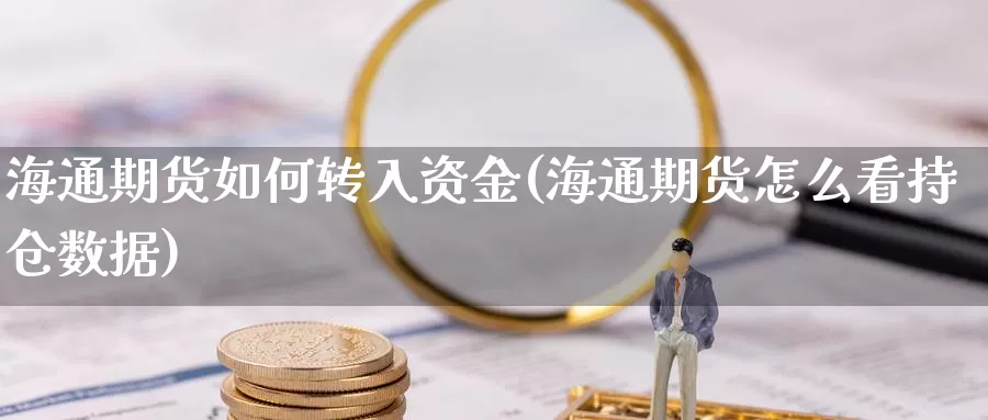 海通期货如何转入资金(海通期货怎么看持仓数据)_https://www.ercigouzaozhubeng.com_实时热闻_第1张