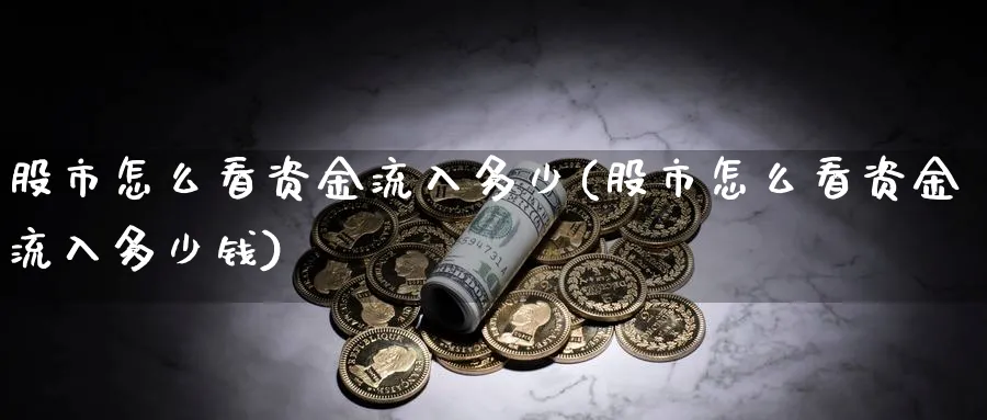 股市怎么看资金流入多少(股市怎么看资金流入多少钱)_https://www.ercigouzaozhubeng.com_股市要闻_第1张