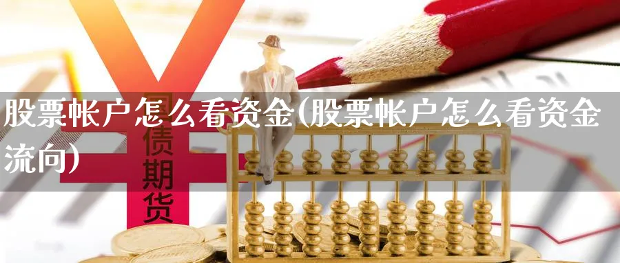 股票帐户怎么看资金(股票帐户怎么看资金流向)_https://www.ercigouzaozhubeng.com_理财技巧_第1张