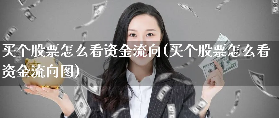 买个股票怎么看资金流向(买个股票怎么看资金流向图)_https://www.ercigouzaozhubeng.com_理财技巧_第1张