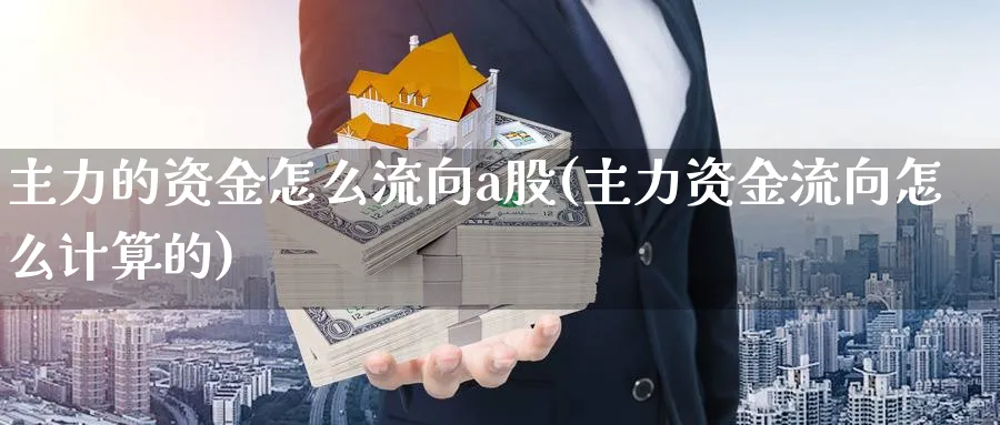 主力的资金怎么流向a股(主力资金流向怎么计算的)_https://www.ercigouzaozhubeng.com_A股市场_第1张