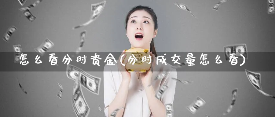 怎么看分时资金(分时成交量怎么看)_https://www.ercigouzaozhubeng.com_理财技巧_第1张