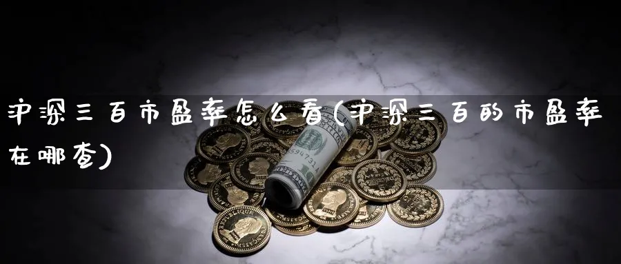 沪深三百市盈率怎么看(沪深三百的市盈率在哪查)_https://www.ercigouzaozhubeng.com_理财技巧_第1张