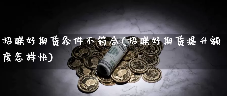 招联好期货条件不符合(招联好期货提升额度怎样快)_https://www.ercigouzaozhubeng.com_大盘指标_第1张