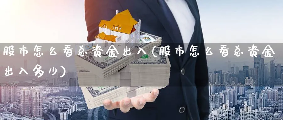 股市怎么看总资金出入(股市怎么看总资金出入多少)_https://www.ercigouzaozhubeng.com_股市要闻_第1张