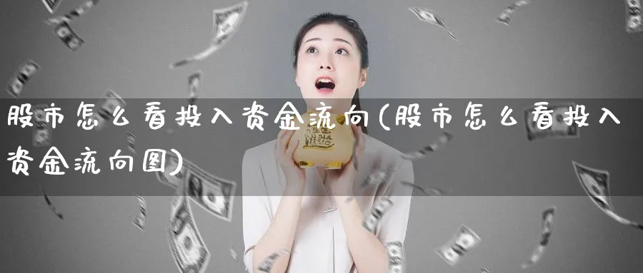 股市怎么看投入资金流向(股市怎么看投入资金流向图)_https://www.ercigouzaozhubeng.com_股市要闻_第1张