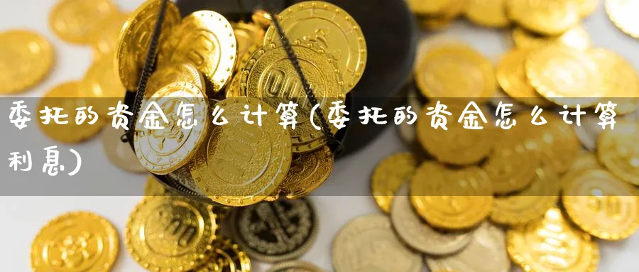 委托的资金怎么计算(委托的资金怎么计算利息)_https://www.ercigouzaozhubeng.com_股票市场_第1张