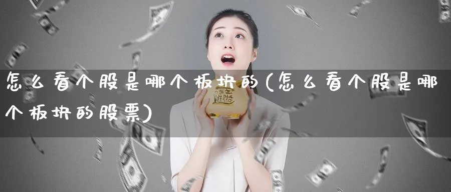 怎么看个股是哪个板块的(怎么看个股是哪个板块的股票)_https://www.ercigouzaozhubeng.com_理财技巧_第1张