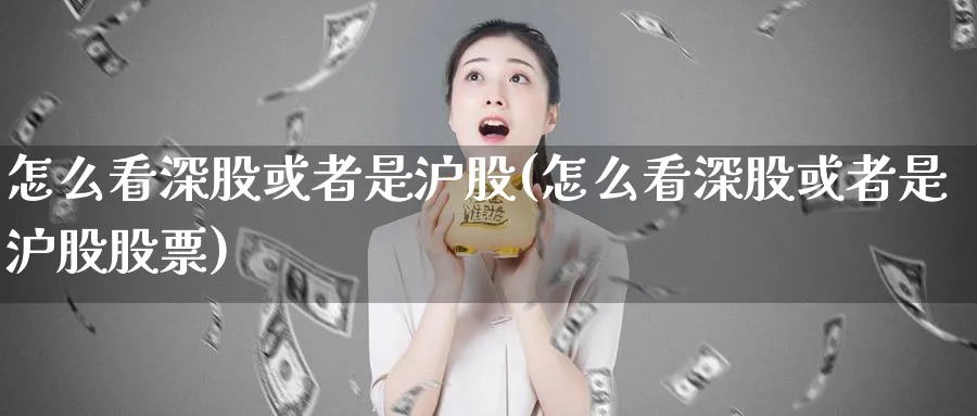 怎么看深股或者是沪股(怎么看深股或者是沪股股票)_https://www.ercigouzaozhubeng.com_理财技巧_第1张