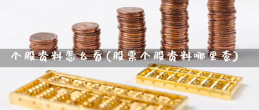 个股资料怎么看(股票个股资料哪里查)_https://www.ercigouzaozhubeng.com_理财技巧_第1张