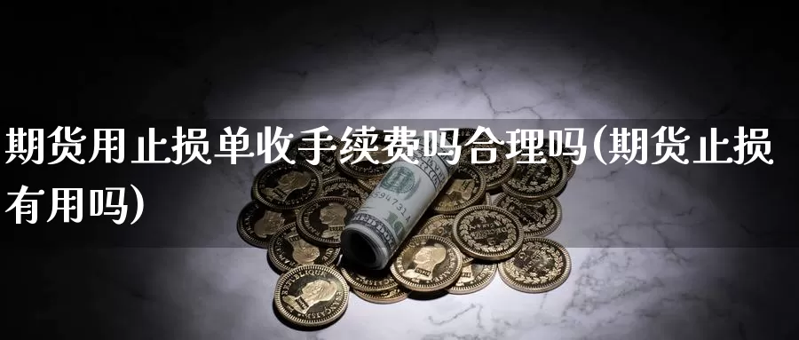 期货用止损单收手续费吗合理吗(期货止损有用吗)_https://www.ercigouzaozhubeng.com_K线技巧_第1张