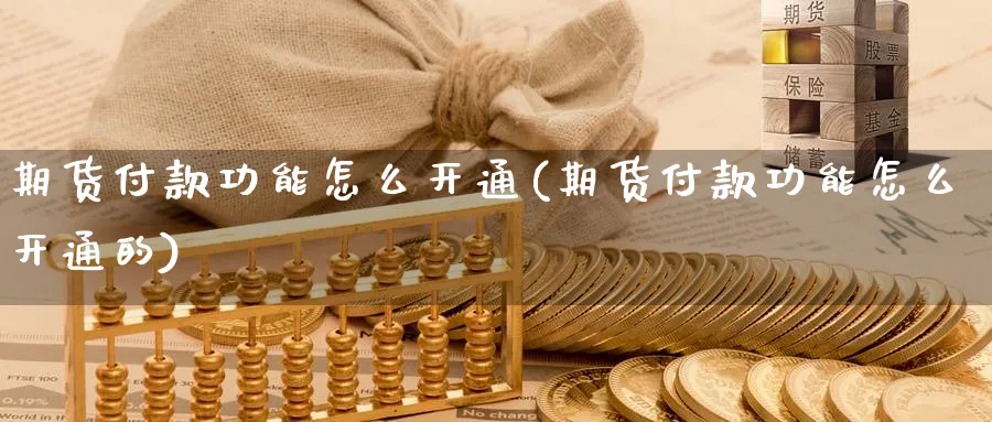 期货付款功能怎么开通(期货付款功能怎么开通的)_https://www.ercigouzaozhubeng.com_期货_第1张