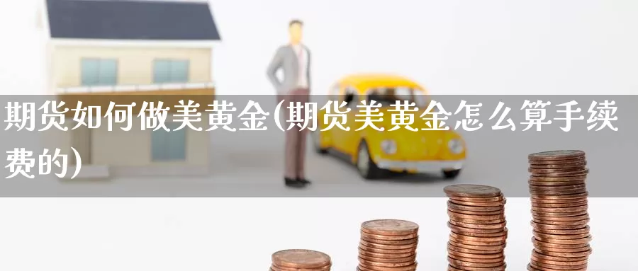 期货如何做美黄金(期货美黄金怎么算手续费的)_https://www.ercigouzaozhubeng.com_大盘指标_第1张