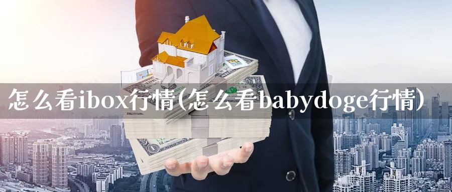 怎么看ibox行情(怎么看babydoge行情)_https://www.ercigouzaozhubeng.com_理财技巧_第1张