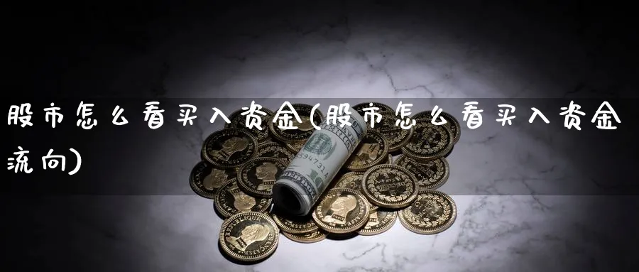 股市怎么看买入资金(股市怎么看买入资金流向)_https://www.ercigouzaozhubeng.com_股市要闻_第1张