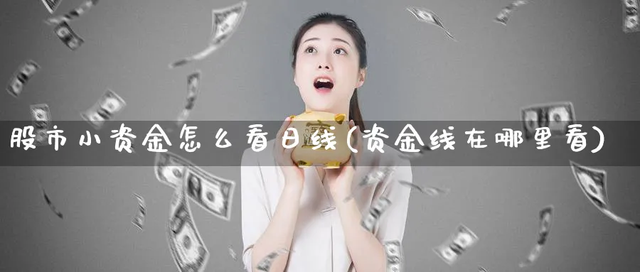 股市小资金怎么看日线(资金线在哪里看)_https://www.ercigouzaozhubeng.com_理财技巧_第1张