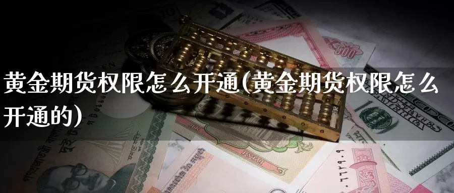 黄金期货权限怎么开通(黄金期货权限怎么开通的)_https://www.ercigouzaozhubeng.com_股票市场_第1张