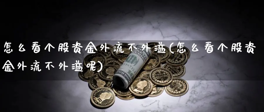 怎么看个股资金外流不外溢(怎么看个股资金外流不外溢呢)_https://www.ercigouzaozhubeng.com_理财技巧_第1张