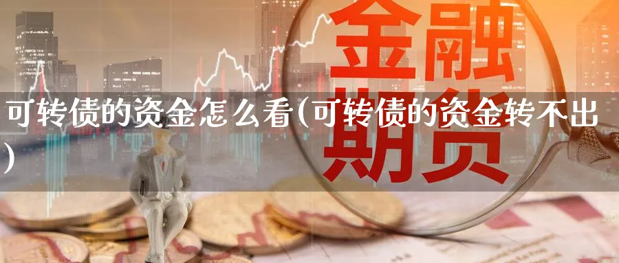 可转债的资金怎么看(可转债的资金转不出)_https://www.ercigouzaozhubeng.com_理财技巧_第1张