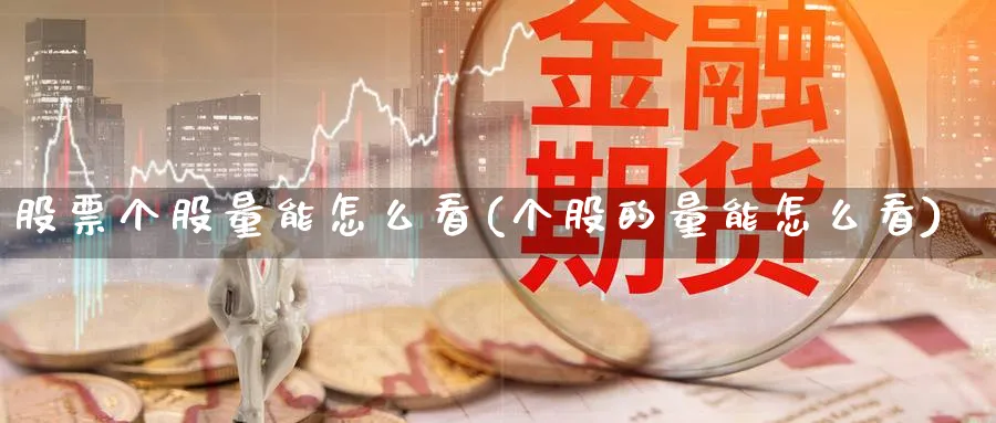 股票个股量能怎么看(个股的量能怎么看)_https://www.ercigouzaozhubeng.com_理财技巧_第1张