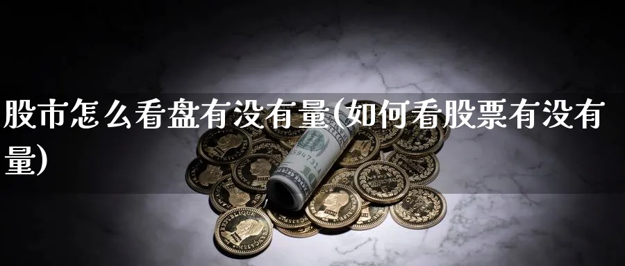 股市怎么看盘有没有量(如何看股票有没有量)_https://www.ercigouzaozhubeng.com_股市要闻_第1张