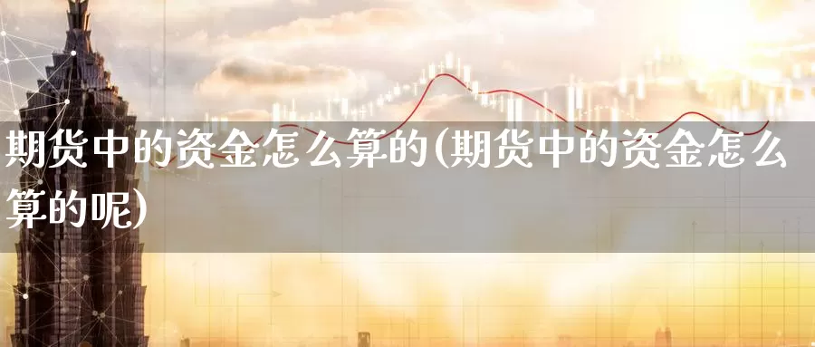 期货中的资金怎么算的(期货中的资金怎么算的呢)_https://www.ercigouzaozhubeng.com_黄金资讯_第1张