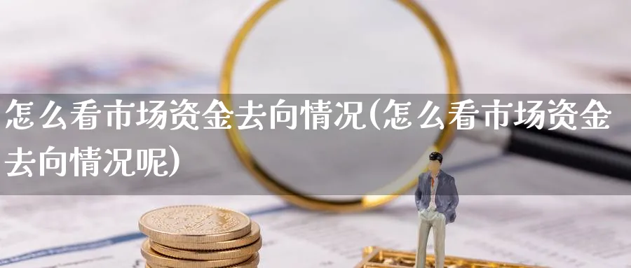 怎么看市场资金去向情况(怎么看市场资金去向情况呢)_https://www.ercigouzaozhubeng.com_理财技巧_第1张