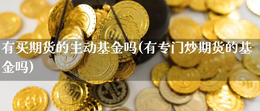 有买期货的主动基金吗(有专门炒期货的基金吗)_https://www.ercigouzaozhubeng.com_原油期货_第1张