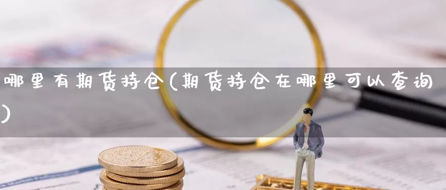 哪里有期货持仓(期货持仓在哪里可以查询)_https://www.ercigouzaozhubeng.com_A股市场_第1张