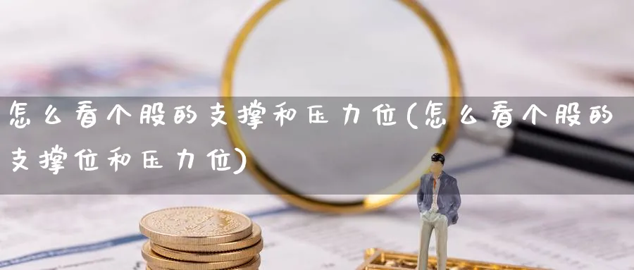 怎么看个股的支撑和压力位(怎么看个股的支撑位和压力位)_https://www.ercigouzaozhubeng.com_理财技巧_第1张