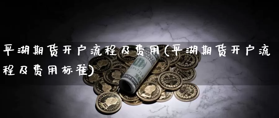 平湖期货开户流程及费用(平湖期货开户流程及费用标准)_https://www.ercigouzaozhubeng.com_实时热闻_第1张