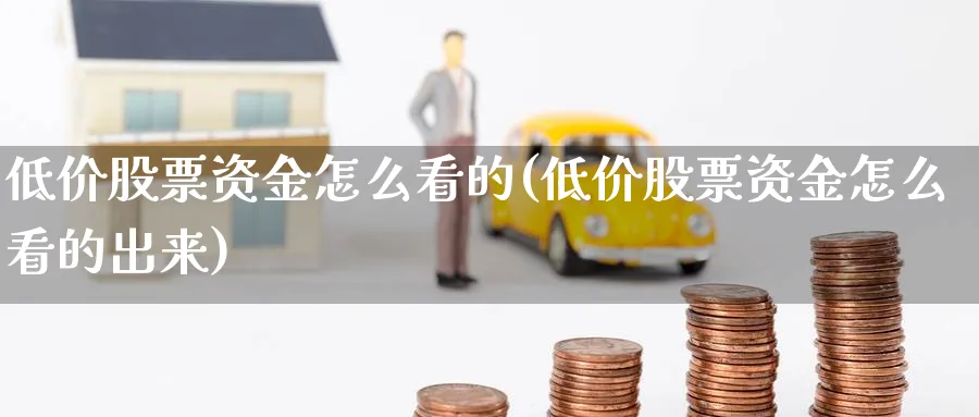 低价股票资金怎么看的(低价股票资金怎么看的出来)_https://www.ercigouzaozhubeng.com_理财技巧_第1张