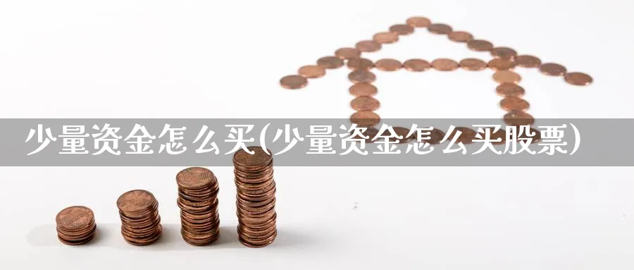 少量资金怎么买(少量资金怎么买股票)_https://www.ercigouzaozhubeng.com_理财技巧_第1张