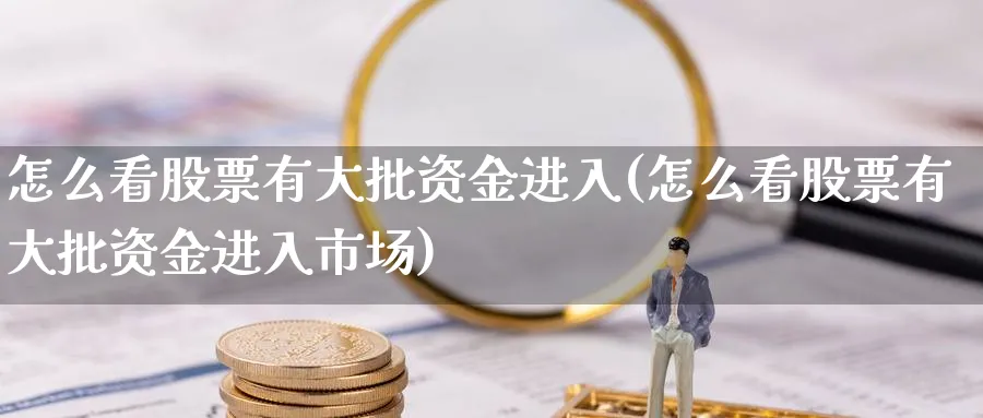 怎么看股票有大批资金进入(怎么看股票有大批资金进入市场)_https://www.ercigouzaozhubeng.com_理财技巧_第1张