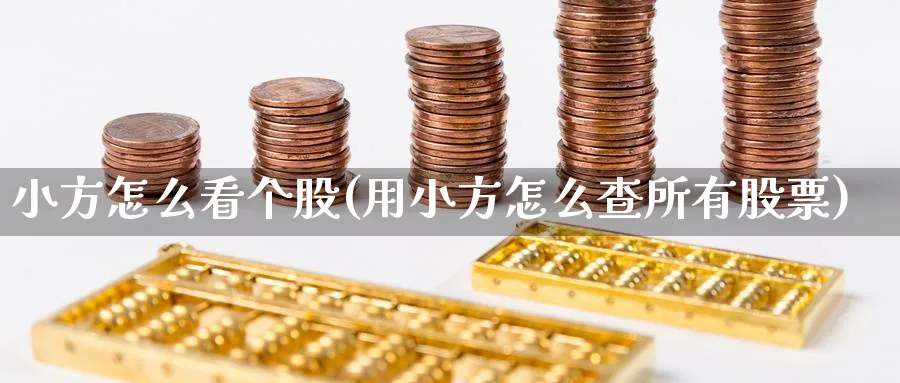 小方怎么看个股(用小方怎么查所有股票)_https://www.ercigouzaozhubeng.com_理财技巧_第1张