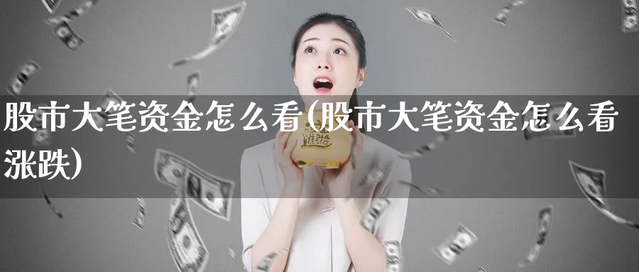 股市大笔资金怎么看(股市大笔资金怎么看涨跌)_https://www.ercigouzaozhubeng.com_理财技巧_第1张