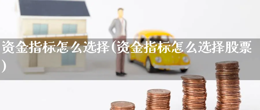 资金指标怎么选择(资金指标怎么选择股票)_https://www.ercigouzaozhubeng.com_理财技巧_第1张