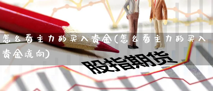 怎么看主力的买入资金(怎么看主力的买入资金流向)_https://www.ercigouzaozhubeng.com_理财技巧_第1张